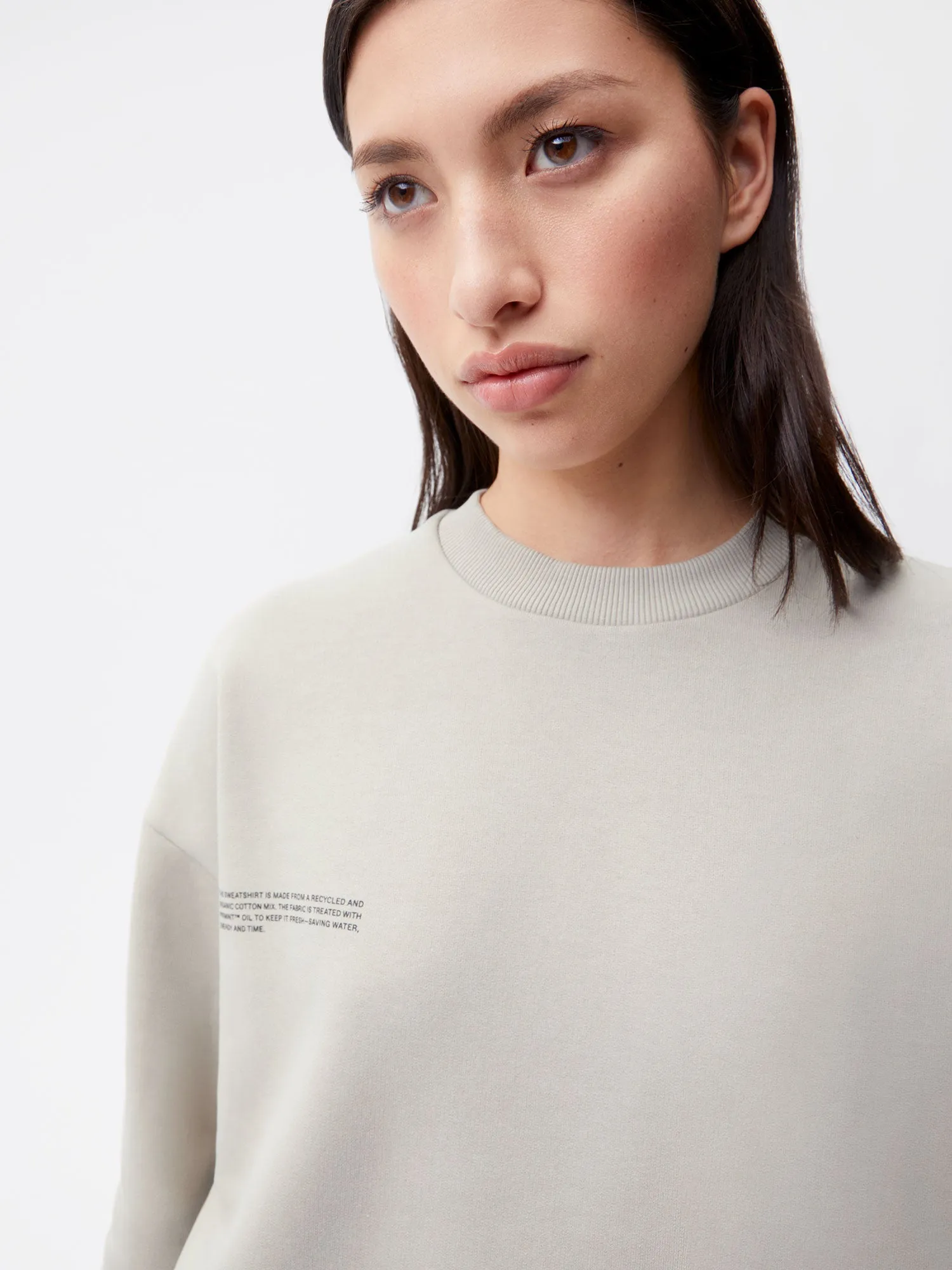 365 Heavyweight Sweatshirt—stone