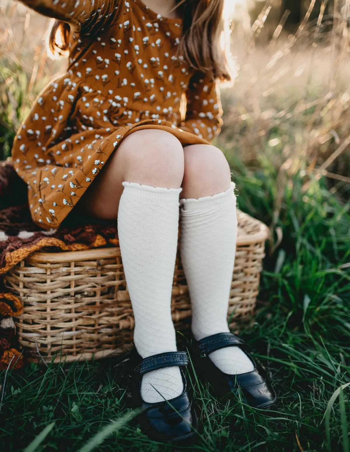 Picnic Knee-High Socks - Macaroon