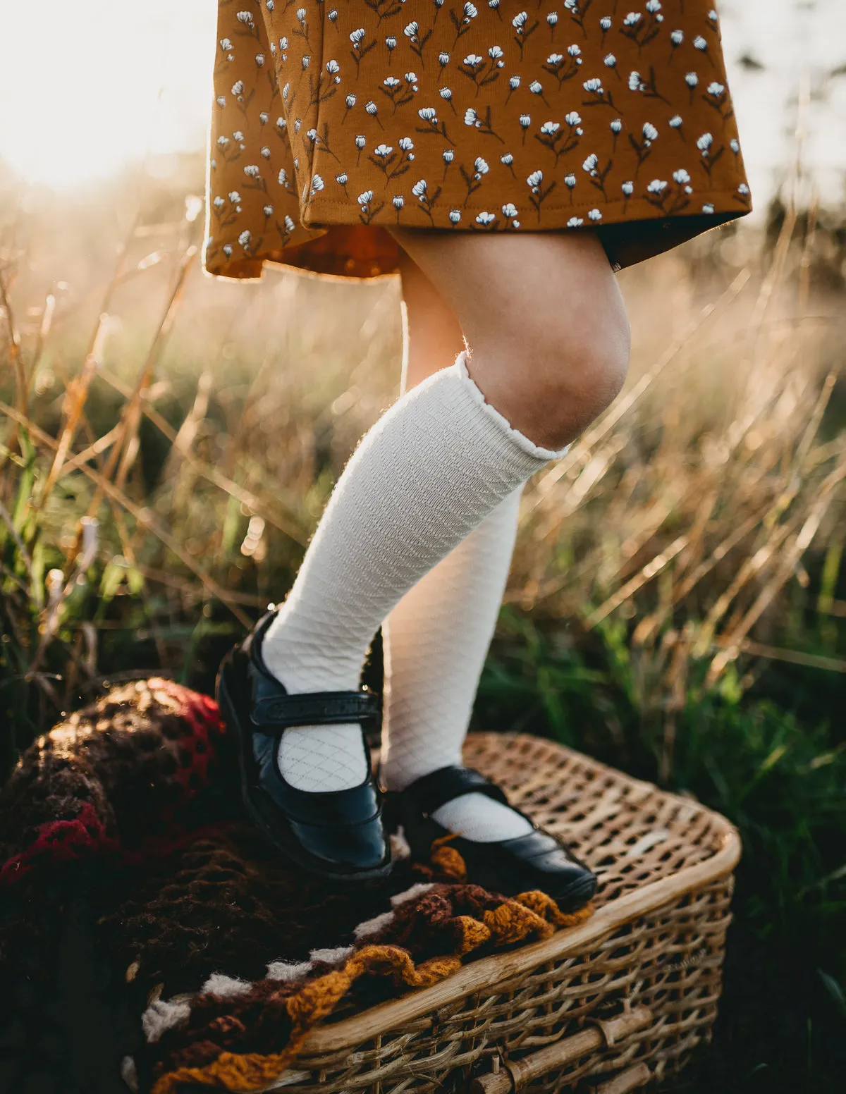 Picnic Knee-High Socks - Macaroon