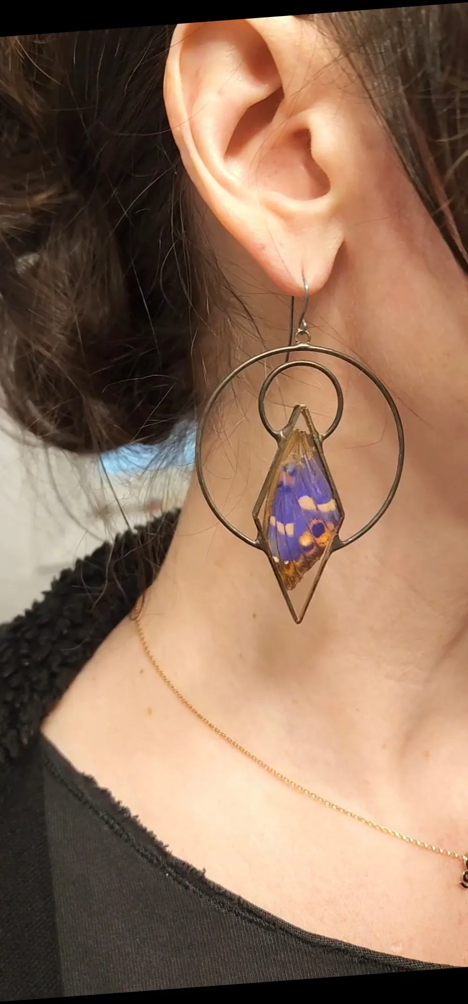 Purple Emperor Butterfly Ensconced Earrings