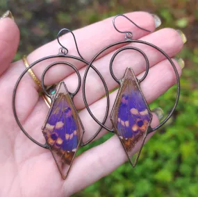 Purple Emperor Butterfly Ensconced Earrings