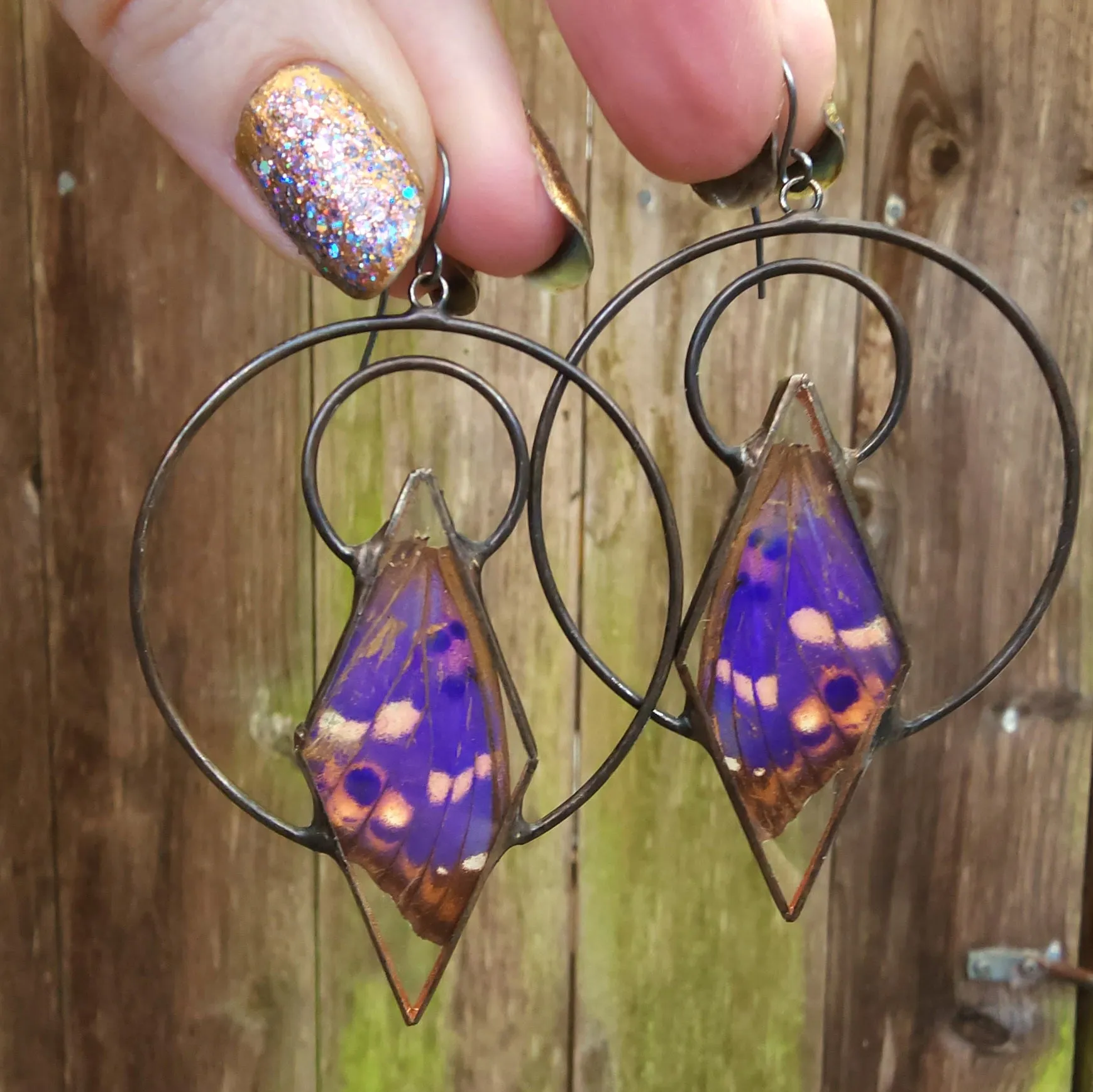 Purple Emperor Butterfly Ensconced Earrings