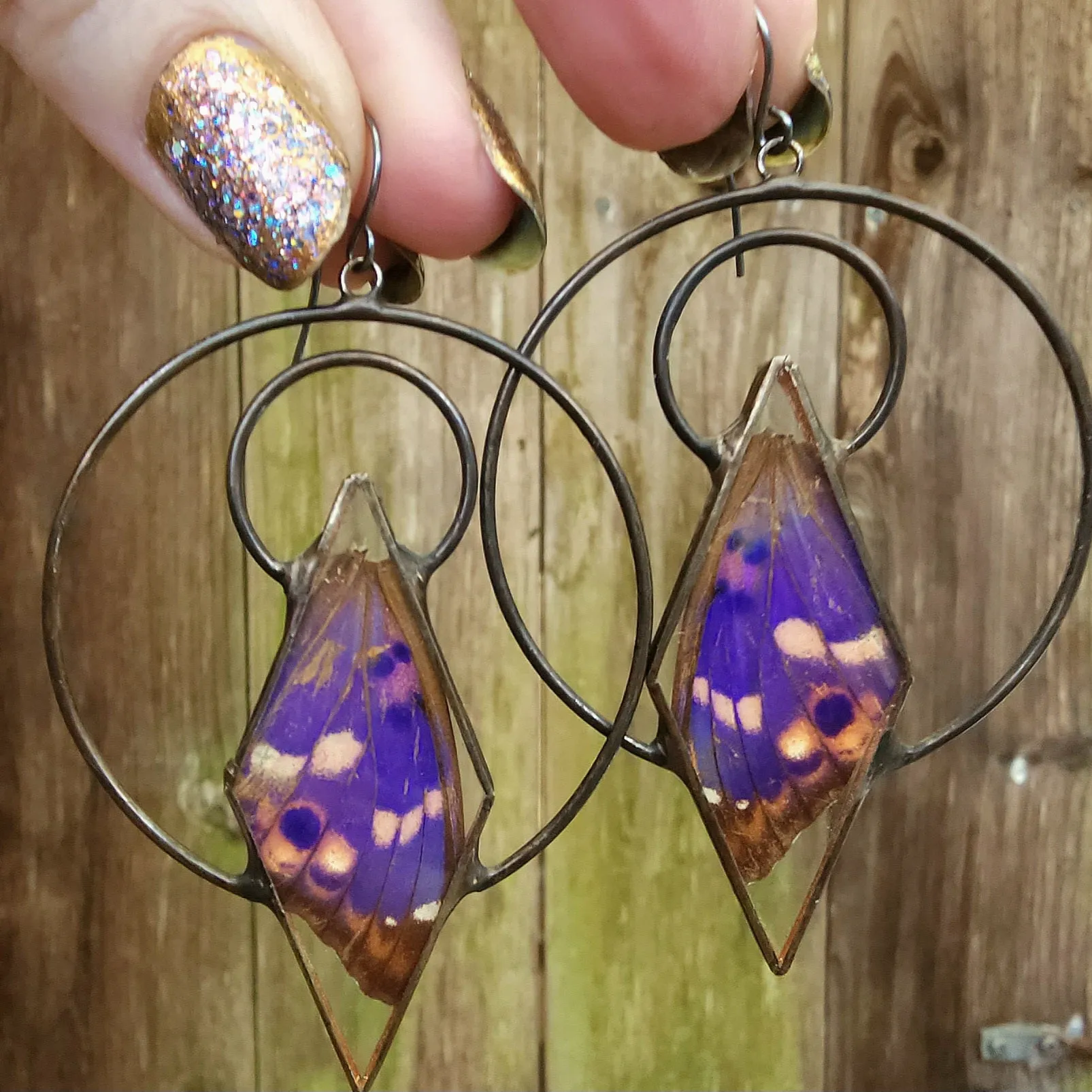 Purple Emperor Butterfly Ensconced Earrings