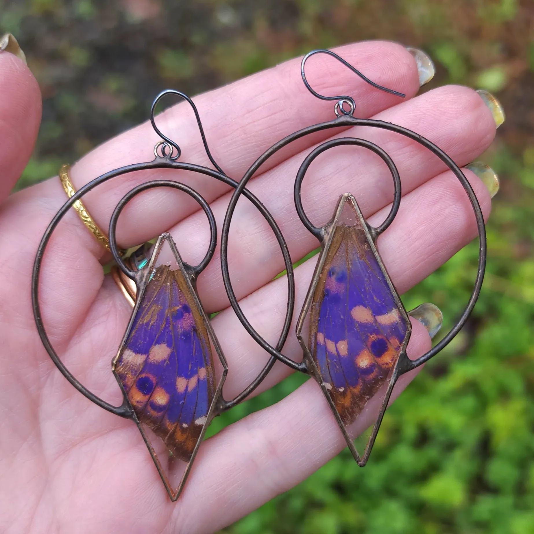 Purple Emperor Butterfly Ensconced Earrings