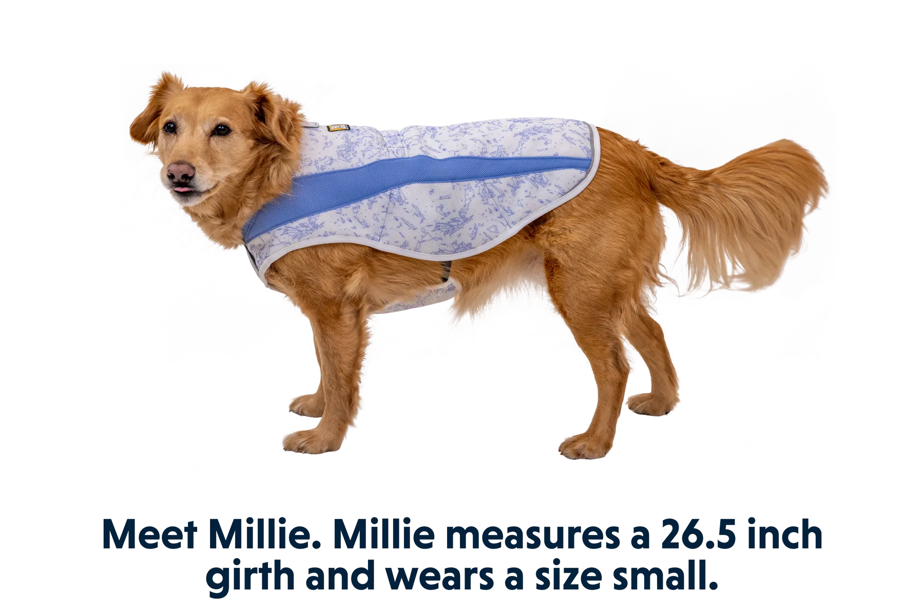 RP - Swamp Cooler™ Cooling Dog Vest