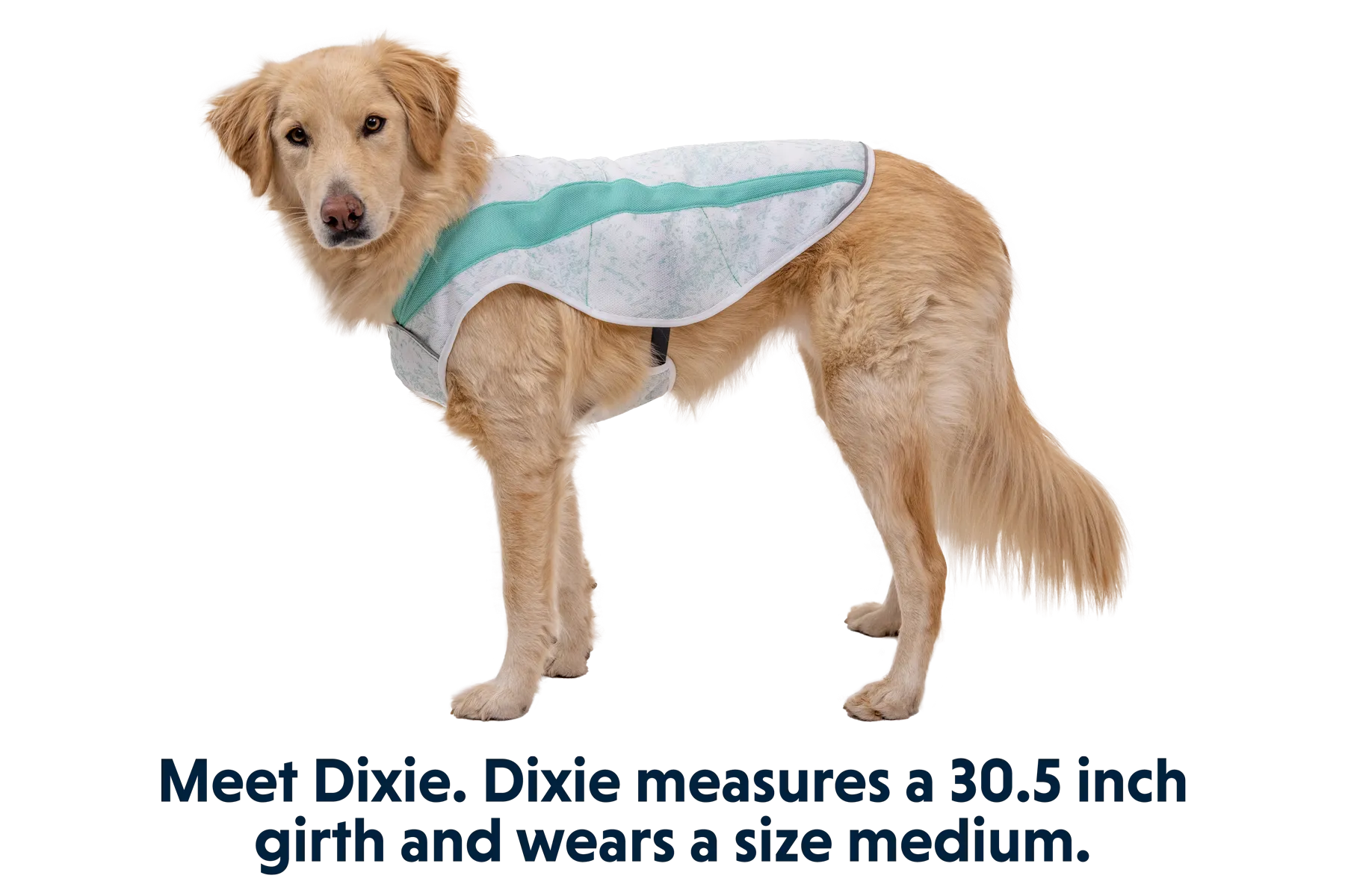 RP - Swamp Cooler™ Cooling Dog Vest